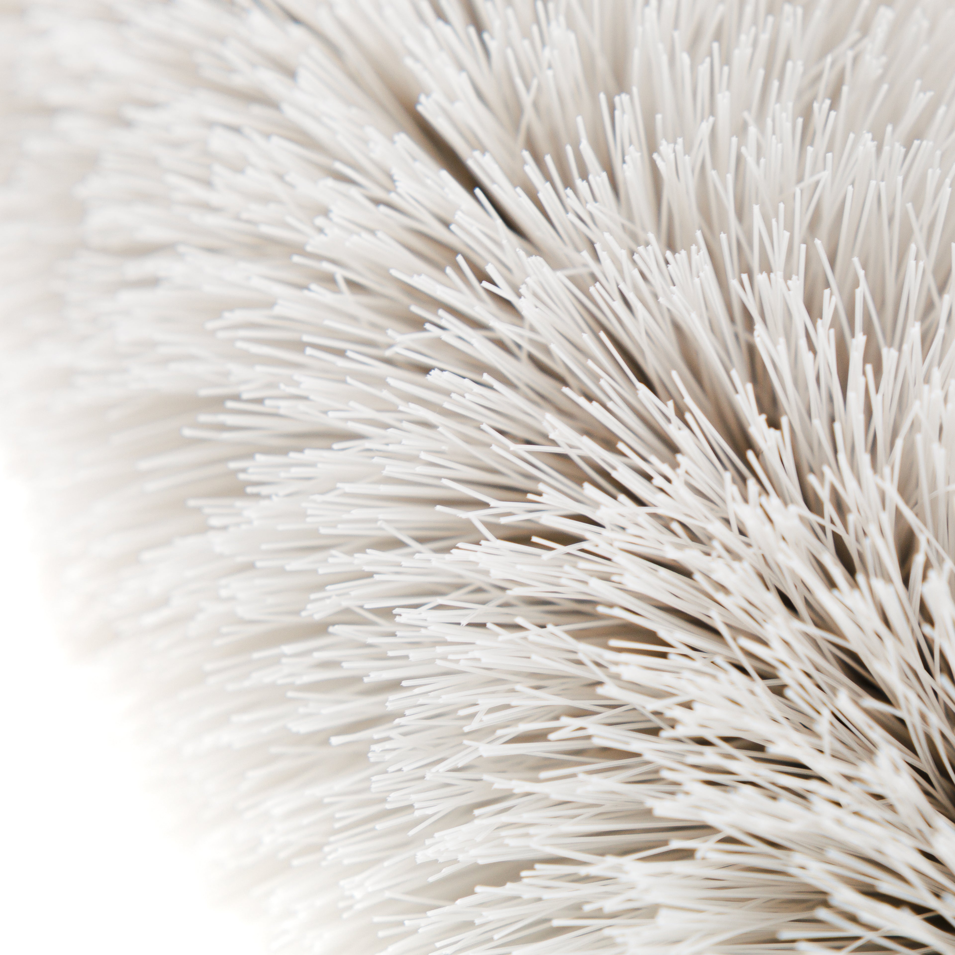 Wheel Brush